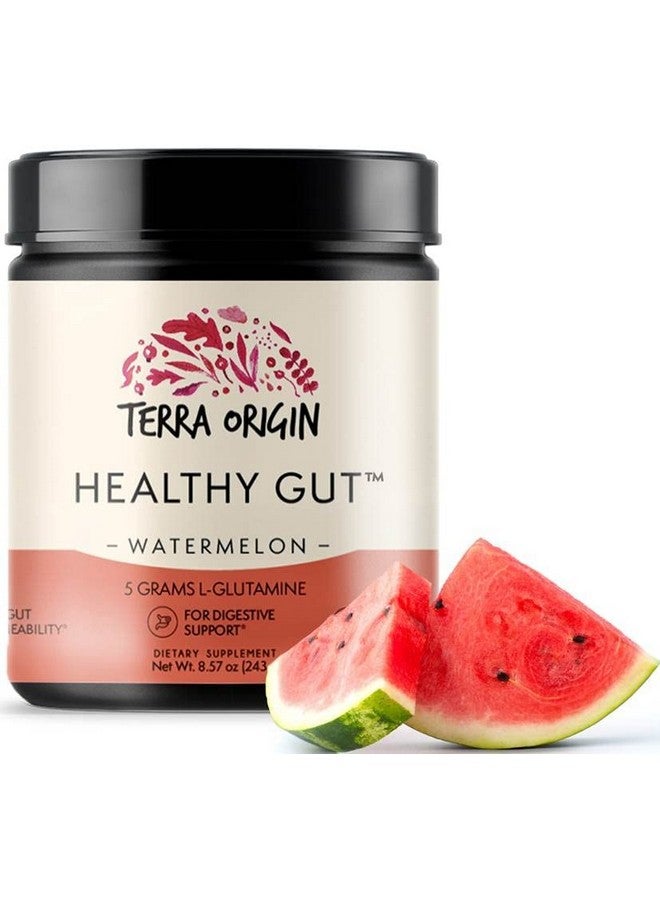 Terra Origin Healthy Gut Watermelon ; 30Servings With Lglutamine Zinc Glucosamine Slippery Elm Bark Marshmallow Root And More - Image 1