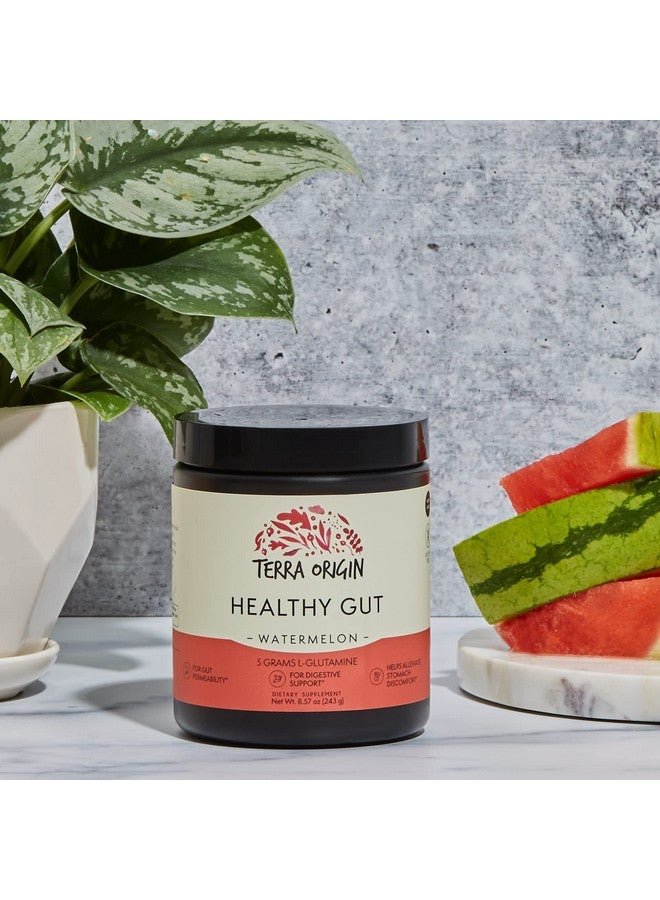 Terra Origin Healthy Gut Watermelon ; 30Servings With Lglutamine Zinc Glucosamine Slippery Elm Bark Marshmallow Root And More - Image 5