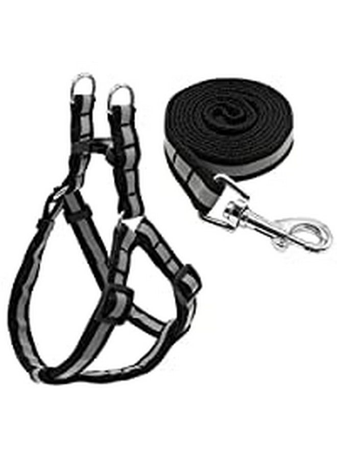 طقم حزام ومقود من النايلون العاكس مقاس 15 مم للكلاب والجراء (قد يختلف اللون) - Image 2