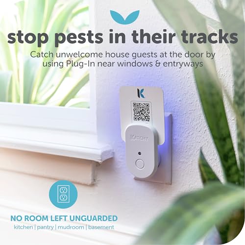 Katchy Plug-in Bug Trap Indoor – Fly Catcher for Mosquito, Gnat, Fruit Fly & Small Moth – Blue Light, Chemical-Free & Eco-Friendly – All Indoor Areas: Kitchen, Living Room & Plants (1 Pack) - Image 4