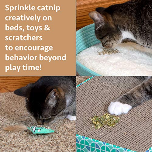 Kitty City Cat Premium Natural Catnip Collection, Catnip Bag - Image 5