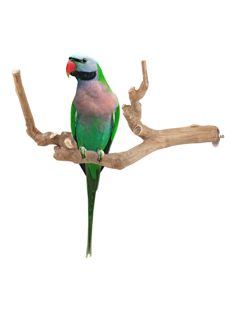 CHEWY BEAK Birds Stand Java wood Medium Parrots Ringed Rose Mini Macaw Rosella Wooden Perch Natural Indonesian Wooden Tree branch Cage Accessories stick - Image 1