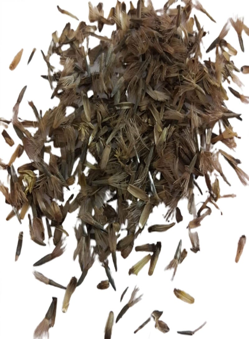 GGOOT 100Pcs/Bag Scabiosa Comosa Fisch Seed Flourishing Easy Survive Vibrant Fresh Scabiosa Comosa Fisch Seed for Pot Plant Seeds - Image 1