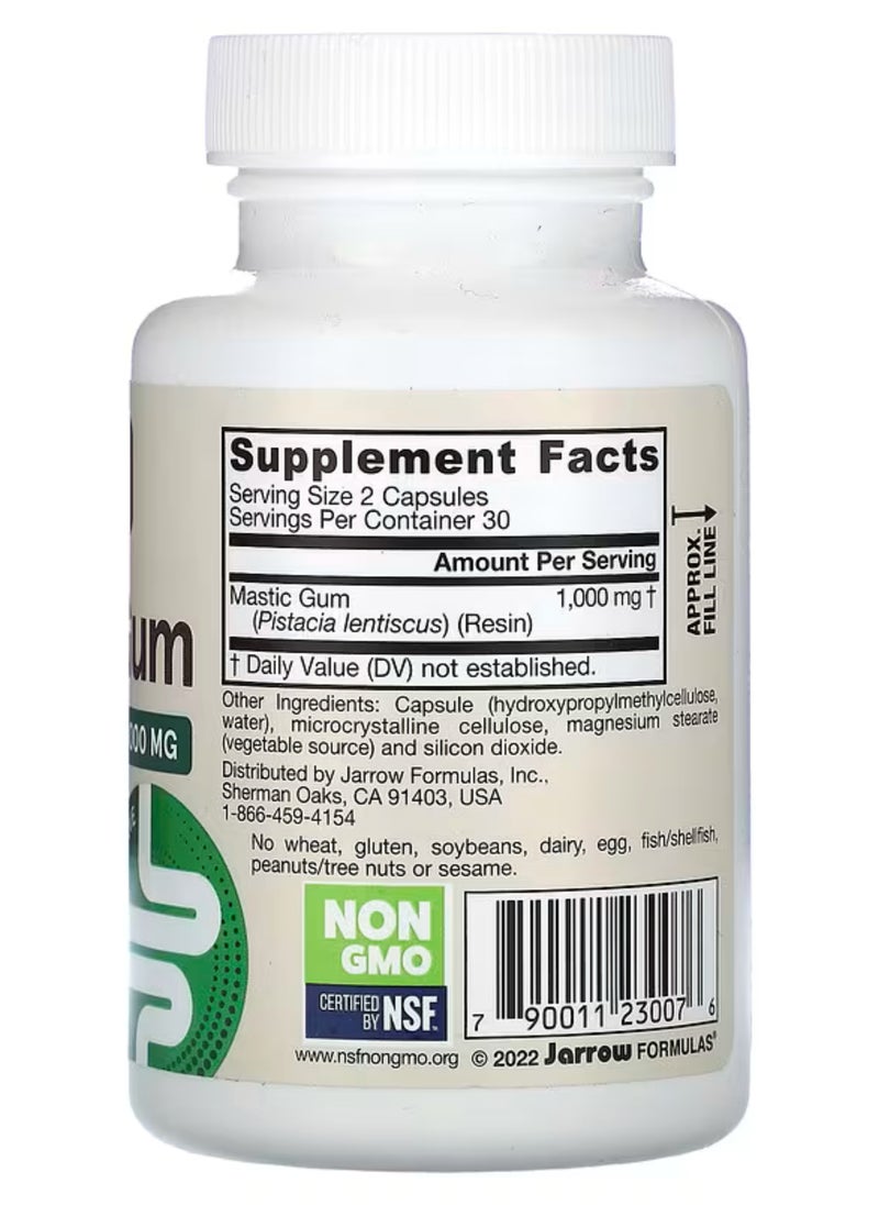 jarrow formulas - Mastic Gum 1,000 Mg 60 Veggie Capsules - Image 1