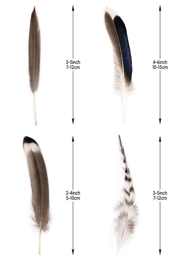 THARAHT 120pcs Mix Colour Eight Style Spotted Small Natural Bulk Feathers 2-7 Inches for for Sewing Crafts Clothing Jewelry Wedding Hair Hats Dream Catcher Decoration Guinea Fowl Feathers - Image 2