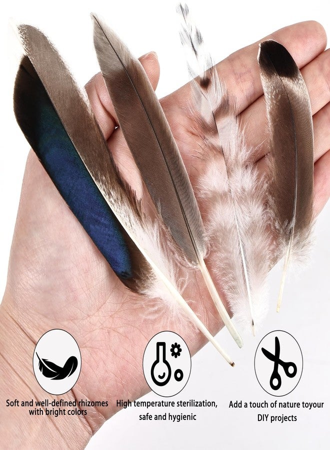 THARAHT 120pcs Mix Colour Eight Style Spotted Small Natural Bulk Feathers 2-7 Inches for for Sewing Crafts Clothing Jewelry Wedding Hair Hats Dream Catcher Decoration Guinea Fowl Feathers - Image 3