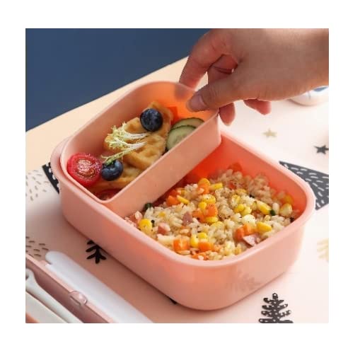 TEMSON Lunch Box for School Kids – Lunch Box, Tiffin Box for School, Lunch Box for Kids, Dual Compartment Lunch Box-1080 ML (LB-8863) (Blue) - Image 2