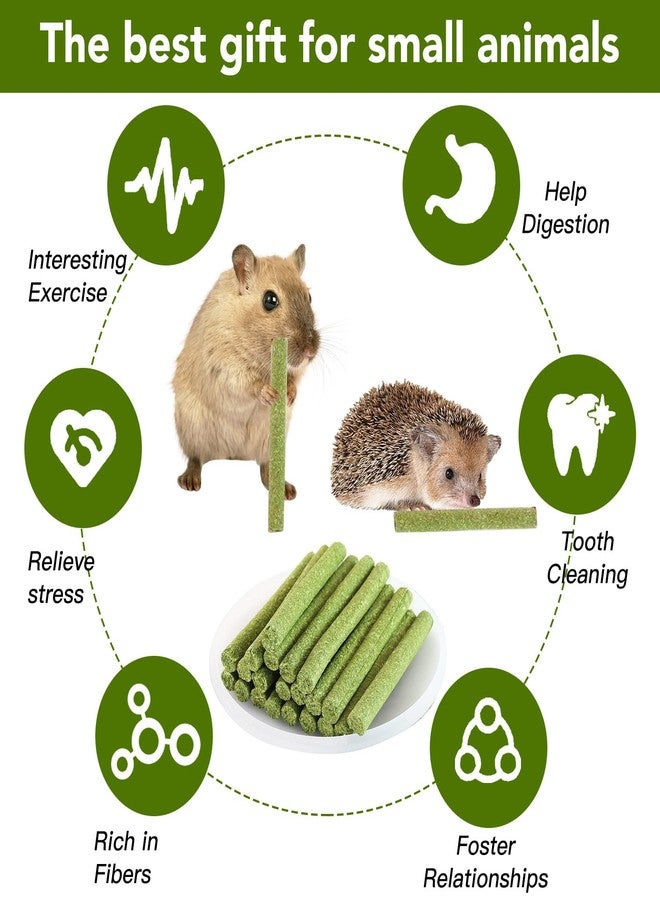 WDEFUN 45 PCS Timothy Hay Sticks for Rabbits Natural Molar Teeth Stick Chew Toys for Bunnies Chinchillas Guinea Pigs Hamsters and Other Small Animals Treats - Image 5