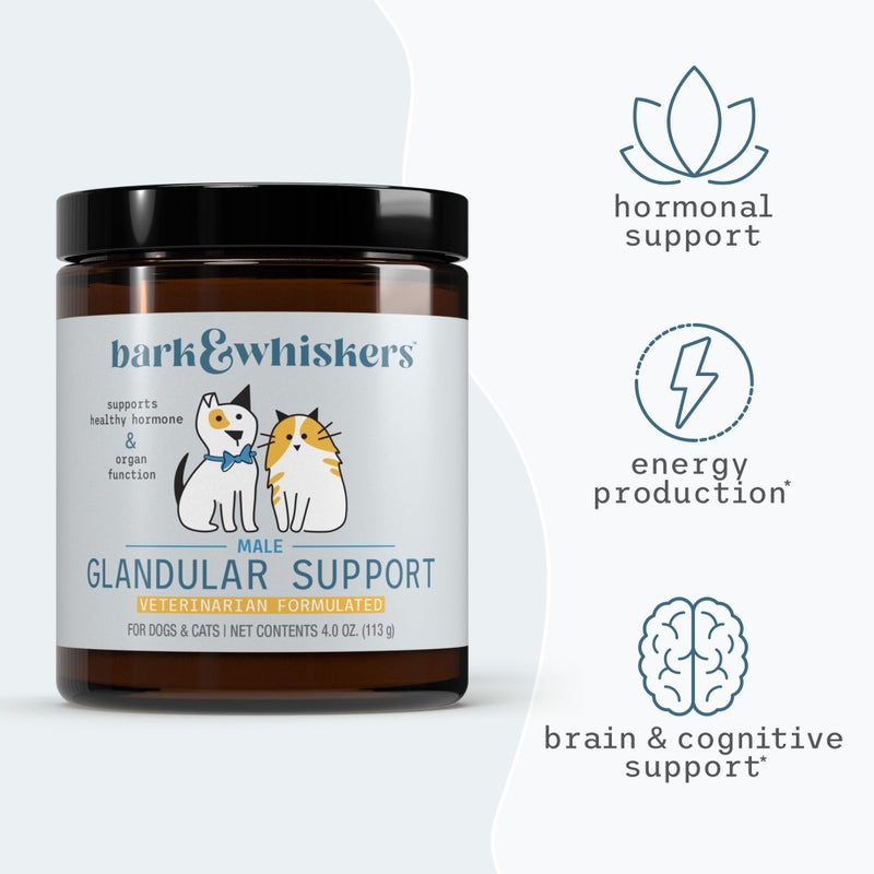 Dr. Mercola Bark & Whiskers Glandular Support - Supports Endocrine & Organ Health - Freeze-Dried Formula - Hormone-Free Ingredients - Male - 75 Scoops (4 oz) - Image 4