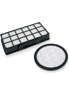 Rowenta Ro 7663EA / Ro 7673EA / Ro 7676EA Vacuum Cleaner Filter Set 