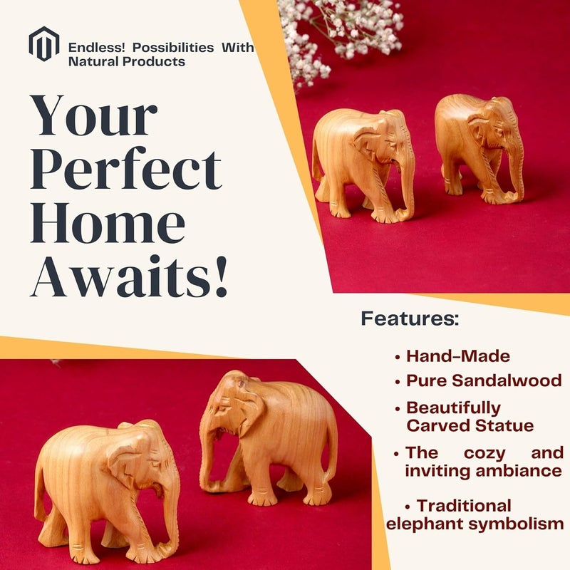 RDK RDK Handmade Sandalwood Elephant Pair Set of 2 Hand Carved Chandan Small Elephant Showpiece Wooden Animal Figure for Living Room or Shelf Decoration White Sandalwood Down Trunk - Image 3