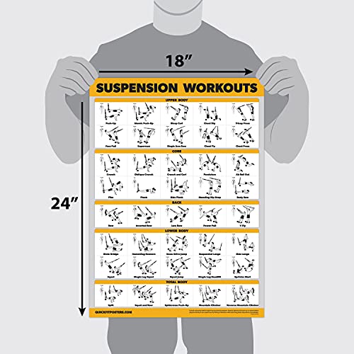 Palace Learning 2 Pack Suspension Workout Posters - Volume 1 & 2 - LAMINATED Exercise Charts - 18" x 24" Vol. 1 & 2 - Image 3