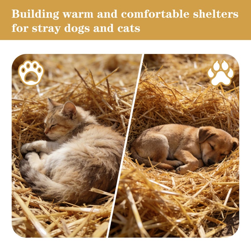 WNJ Natural Wheat Straw - 1 LB Dry Straw, Soft 100% Natural Straw Bale for Animal Bedding, Garden Mulch, Compost & Stray Cats Dogs Poultry, and Grass Cover - Image 2