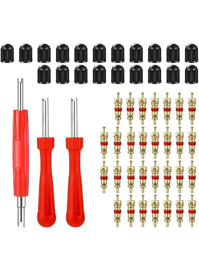 شواي مجموعة أدوات إزالة قلب الصمام - 40 قطعة من نوى شريدر المطلية بالنيكل والنحاس، و20 قطعة من أغطية عوازل حلقات O، و3 أدوات إزالة برأس واحد مزدوج لإصلاح الإطارات - Image 1