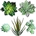 Supla 5 Pcs Assorted Artificial Succulents Plants Unpotted Small Green Cactus Echeveria Picks Fake Succulents Bulk for - Image 2