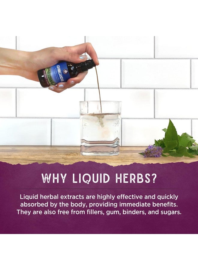 WishGarden Herbs Respiratory Strength Daily Support - Plant-Based Herbal Lung Support Supplement with Organic Mullein & Elecampane, Supports Long-Term Lung Resilience and Better Lung Efficiency, 2oz - Image 5