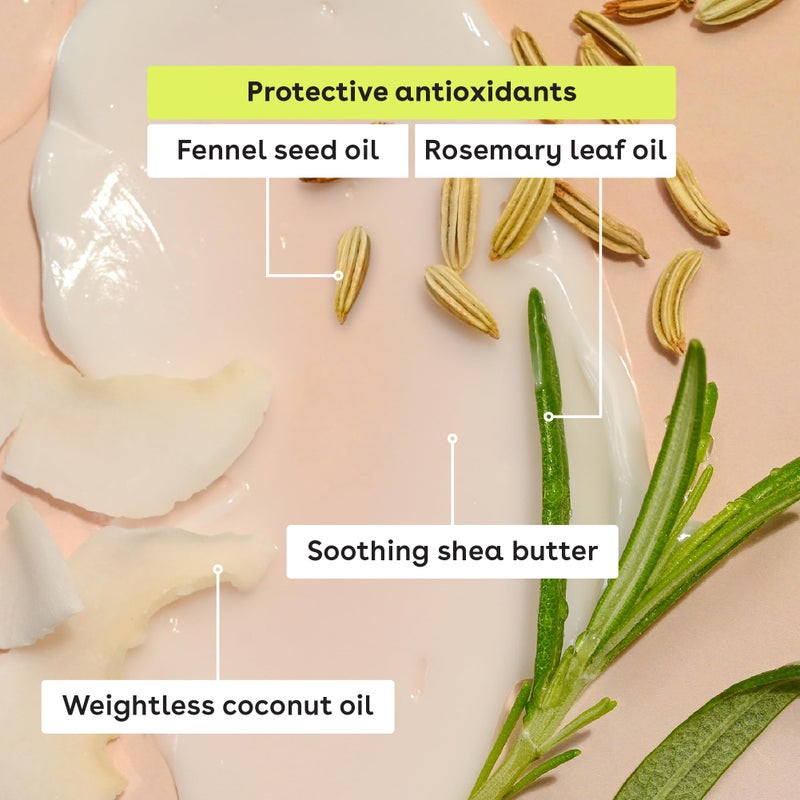 eos 100% Natural & Organic Lip Balm Trio- Vanilla Bean, Sweet Mint, & Strawberry Sorbet, Made for Sensitive Skin, Lip Care Products, 0.14 oz, 3-Pack - Image 5