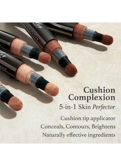 Cushion Complexion Multitasking Skin Perfecter 200 Nude Concealer Foundation Brightener Contour Stick Infused With Turmeric Buildable Medium To Full Coverage Natural Finish - pzsku/Z76EC2C3C46633CD3D5BDZ/45/_/1694779208/631dd837-6fbf-4b2d-bde4-0ede716263ee