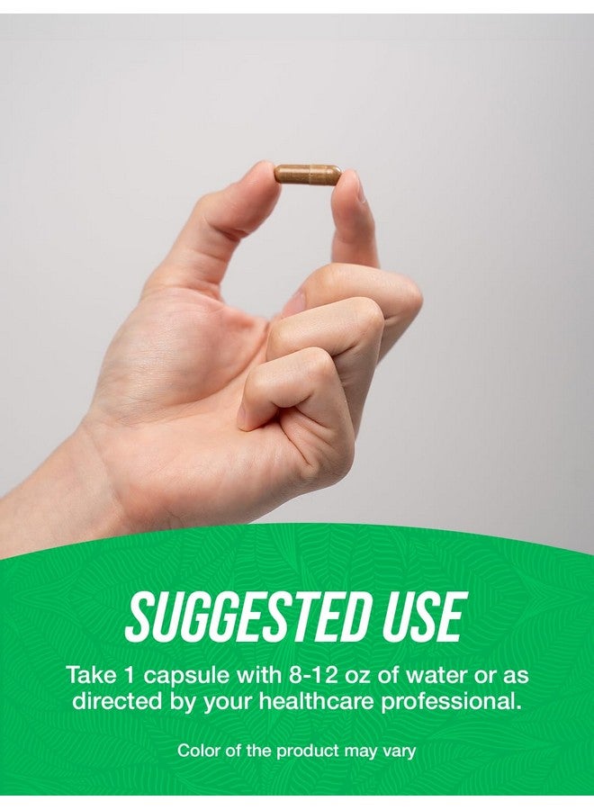 BulkSupplements.com Green Tea Extract Capsules - Green Tea Supplement, Green Tea Extract 500mg, Green Tea Pills - Vegan & Gluten Free, 1 Capsule per Serving, 180 Veg Capsules (Pack of 1) - Image 4