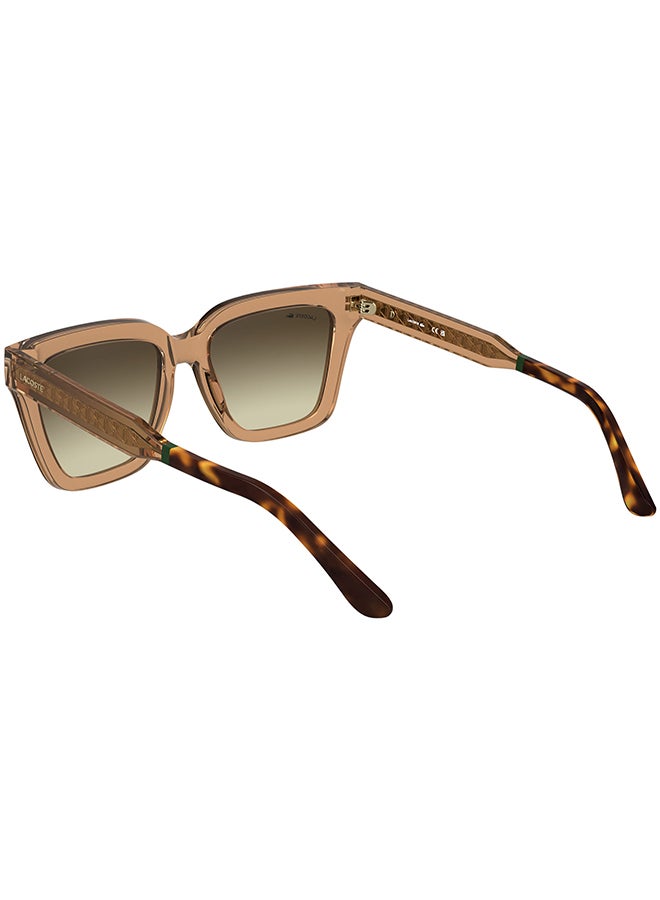 LACOSTE FULL RIM INJECTED LACOSTE SUNS L6063S 5518 (204) TRANSPARENT BRICK - Image 2