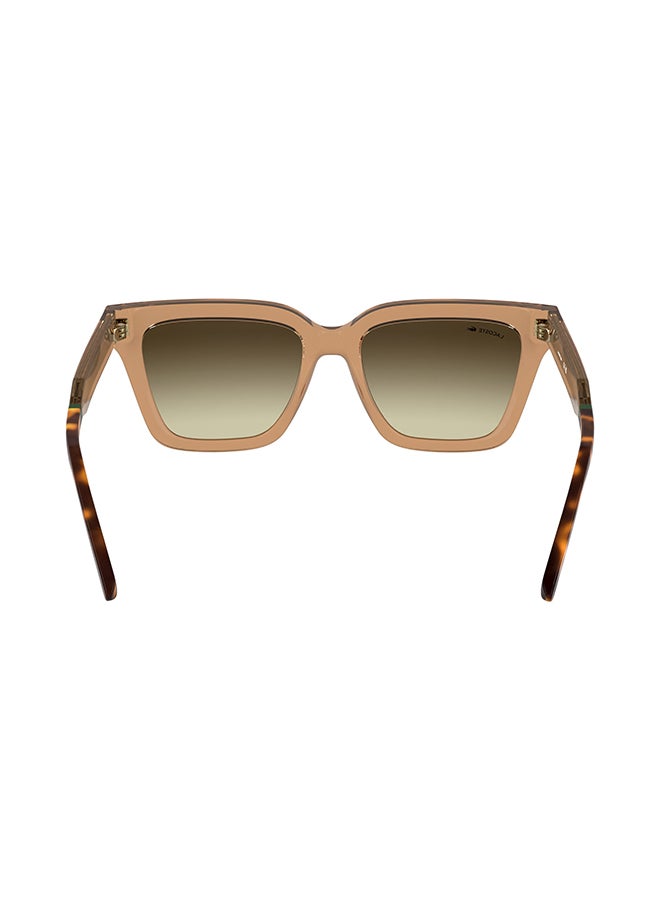 LACOSTE FULL RIM INJECTED LACOSTE SUNS L6063S 5518 (204) TRANSPARENT BRICK - Image 3