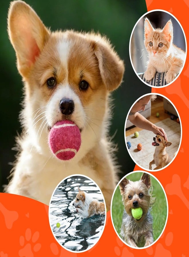 INSUM 1.5 Inch Mini Tennis Balls for X-Small Dogs & Cats, 20/40 Pack Soft Fetch Play Toys for Puppies & Kittens, Training & Indoor Outdoor Exercise - Image 5