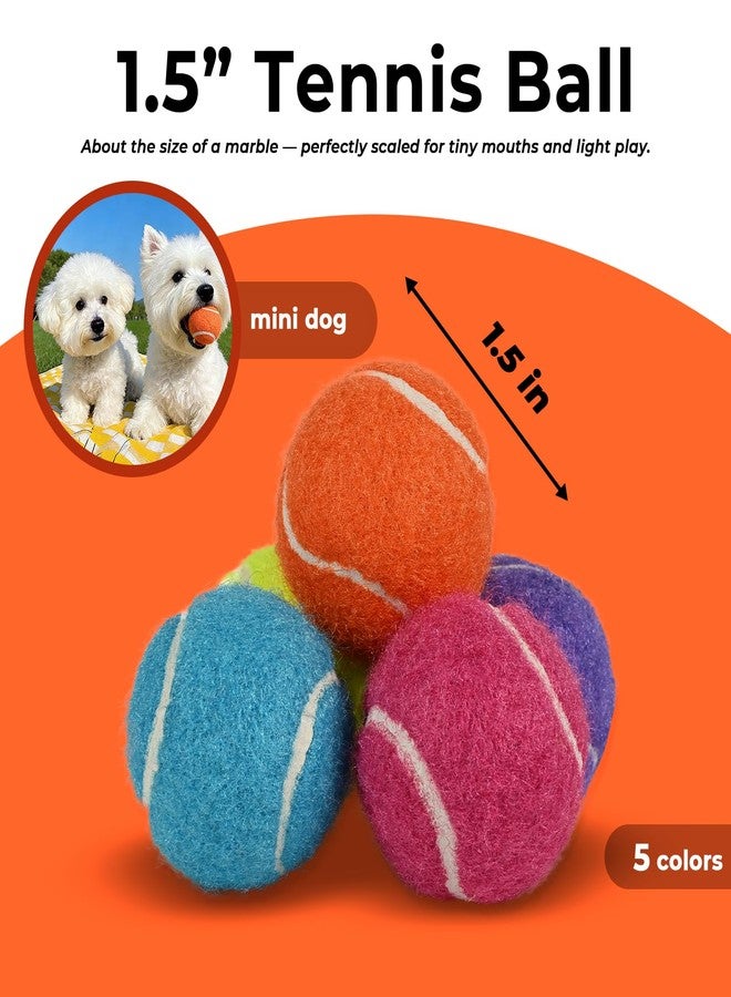 INSUM 1.5 Inch Mini Tennis Balls for X-Small Dogs & Cats, 20/40 Pack Soft Fetch Play Toys for Puppies & Kittens, Training & Indoor Outdoor Exercise - Image 2