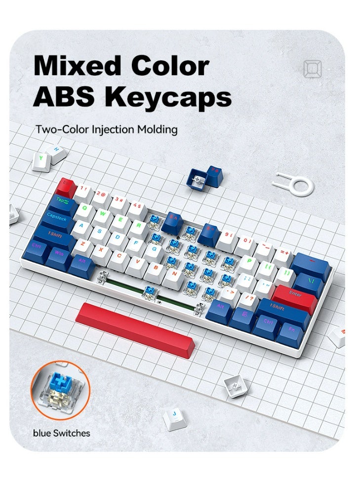 T-WOLF T60 green axis 61 key mechanical keyboard with 17 RGB backlit ultra compact mini keyboards, Type-C key cable separation, full key hot swappable 60% wired gaming keyboard, suitable for PC/Mac esports gamers, business travel portable keyboard (white and blue dual color mixing) - Image 4