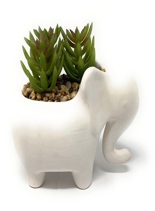 Nature's Mark 4.7" H Succulent in Elephant White Ceramic Planter, Modern and Simple Stylish Design Artificial Plants - Image 1
