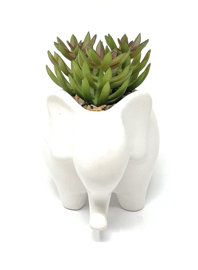 Nature's Mark 4.7" H Succulent in Elephant White Ceramic Planter, Modern and Simple Stylish Design Artificial Plants - Image 3