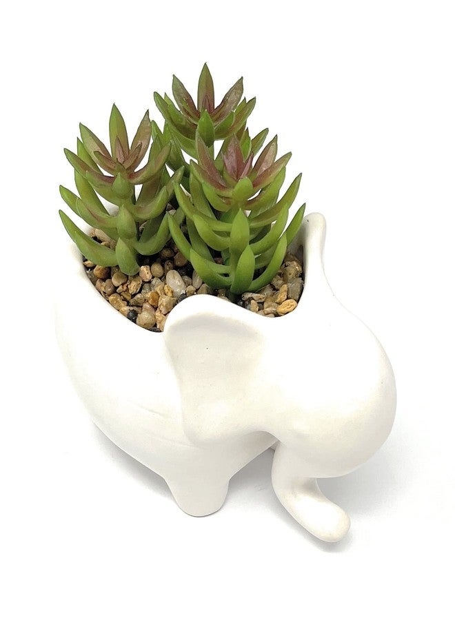 Nature's Mark 4.7" H Succulent in Elephant White Ceramic Planter, Modern and Simple Stylish Design Artificial Plants - Image 2
