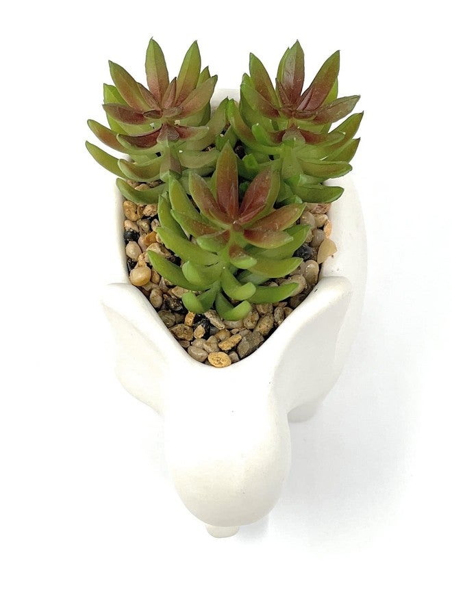 Nature's Mark 4.7" H Succulent in Elephant White Ceramic Planter, Modern and Simple Stylish Design Artificial Plants - Image 4