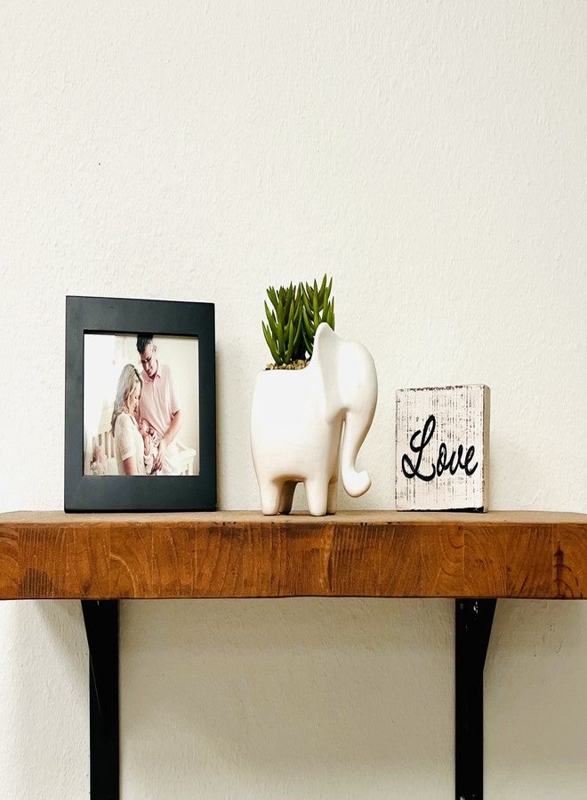 Nature's Mark 4.7" H Succulent in Elephant White Ceramic Planter, Modern and Simple Stylish Design Artificial Plants - Image 5