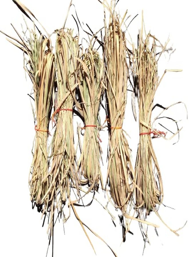 RUKDA Havan Samidha Dharbha Grass/Dharbha pul/Halfa Grass/Kusha Grass for Pooja and Havan - Pack of 5 Bundle - Image 2