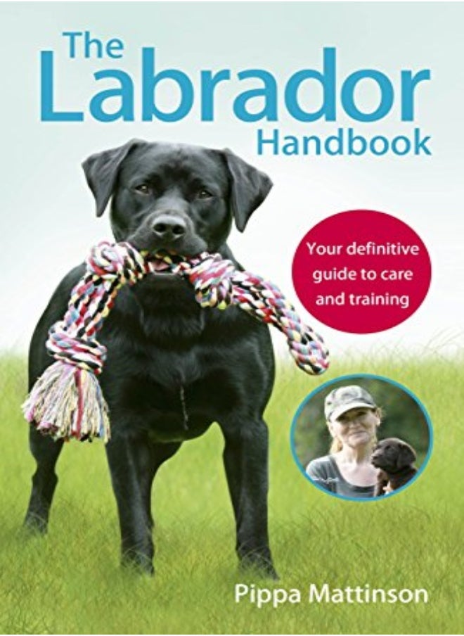 null - The Labrador Handbook: The definitive guide to training and caring for your Labrador - Image 1
