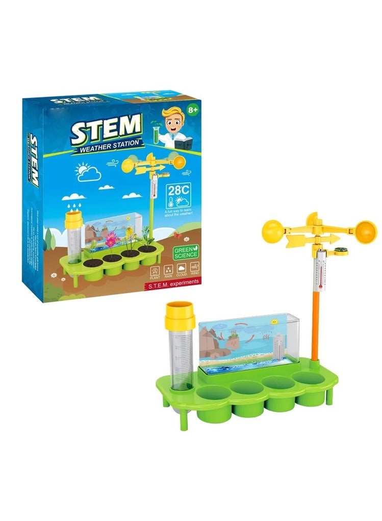 STEM Educational Plant Growing Toy for Kids - Image 1