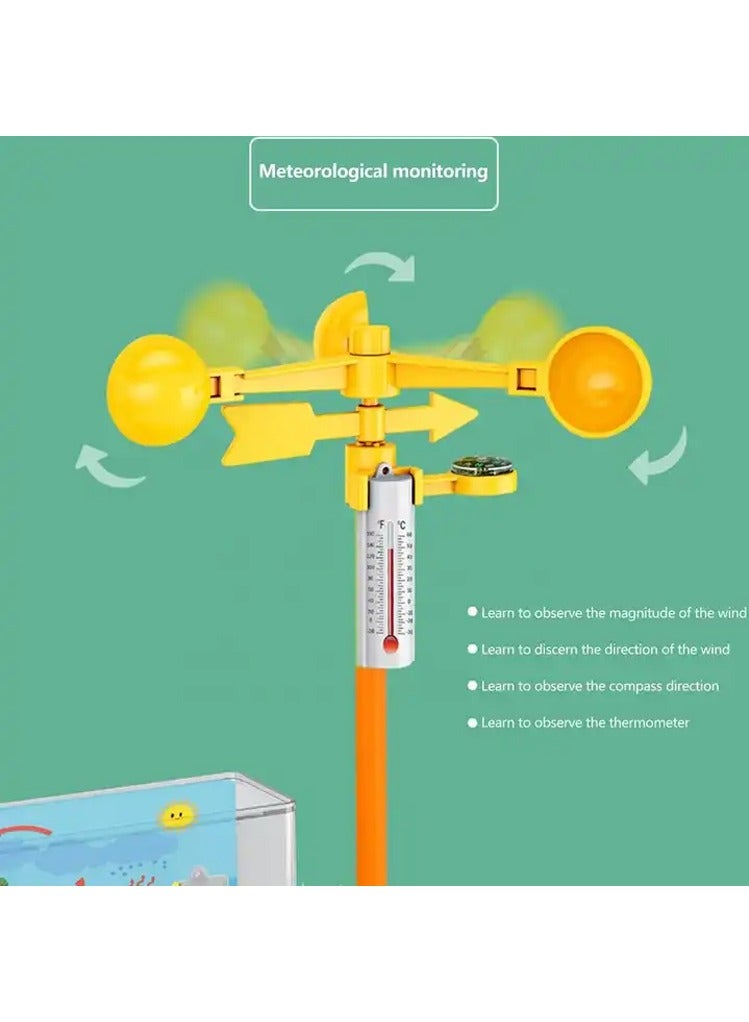 STEM Educational Plant Growing Toy for Kids - Image 5