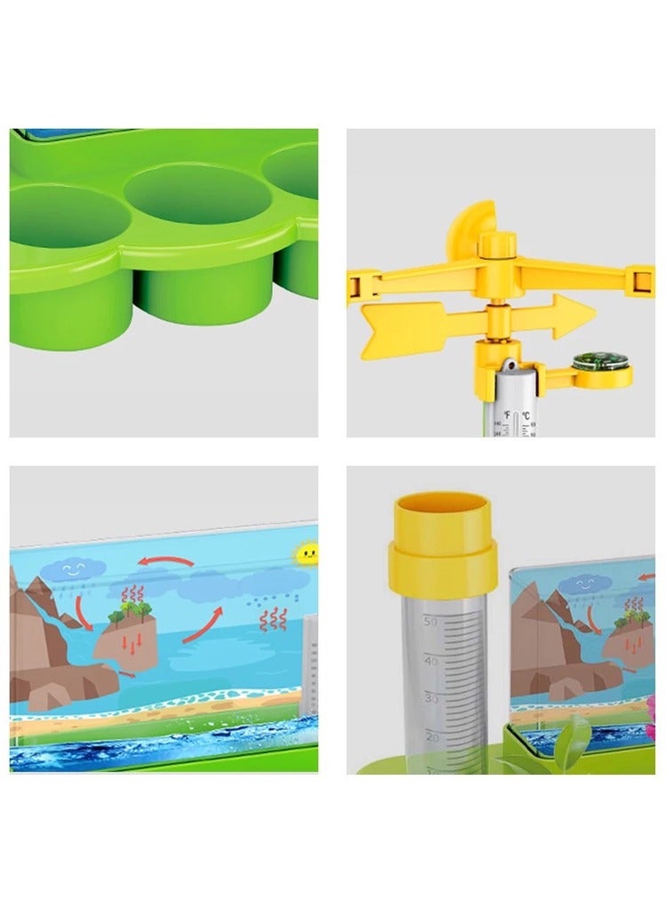 STEM Educational Plant Growing Toy for Kids - Image 4