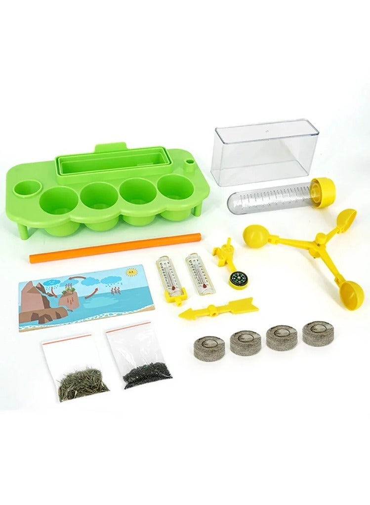 STEM Educational Plant Growing Toy for Kids - Image 3