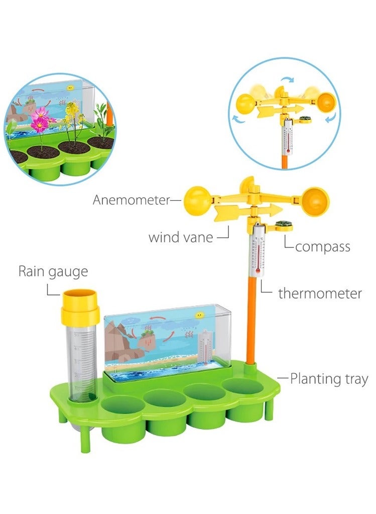 STEM Educational Plant Growing Toy for Kids - Image 2