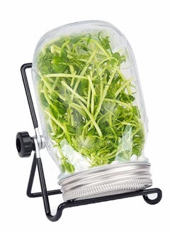 Sprouting Wide Mouth Jar with Steel Mesh Lids and Stands, 650ML Sprouter Jars, for Broccoli Beans Microgreens Sprouts