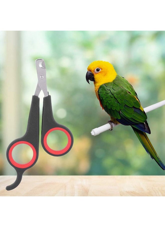 Parrot Wing Clippers, Solid Stainless Steel Bird Nail Clipper, Bird Nail Clipper 4.6X2.4X0.2In Animal Rope Thick For Soft Paddle For Tools - pzsku/Z76F2271756CE33E0CB40Z/45/_/1737031914/a5110cc7-c7e6-489d-a1a2-4cc65e1ce8a2