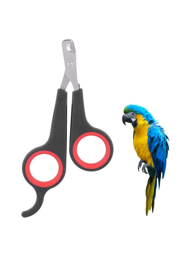 Parrot Wing Clippers, Solid Stainless Steel Bird Nail Clipper, Bird Nail Clipper 4.6X2.4X0.2In Animal Rope Thick For Soft Paddle For Tools - pzsku/Z76F2271756CE33E0CB40Z/45/_/1737031960/6e7323ab-f67a-495c-bdd2-84a8a8a19f13