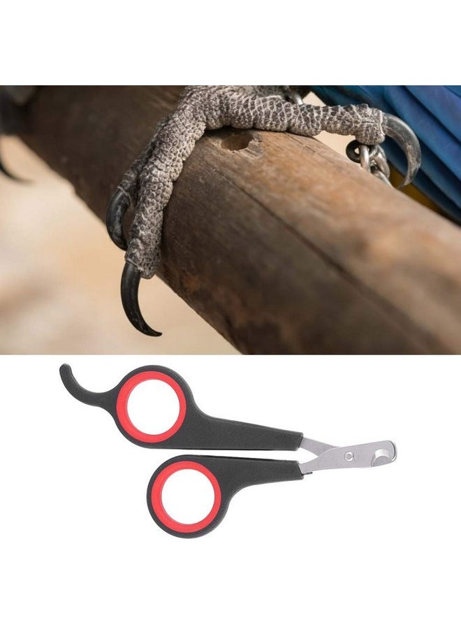 Parrot Wing Clippers, Solid Stainless Steel Bird Nail Clipper, Bird Nail Clipper 4.6X2.4X0.2In Animal Rope Thick For Soft Paddle For Tools - pzsku/Z76F2271756CE33E0CB40Z/45/_/1737032031/32d74839-357c-4917-9072-c7a70f391187