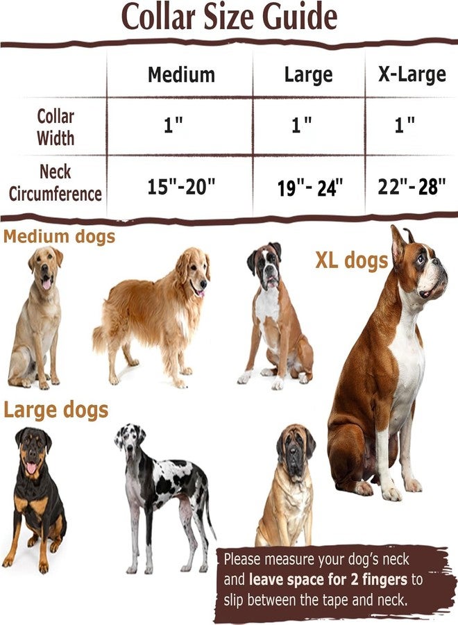 cyhaen Stainless Steel Chain Dog Martingale Collar, No Pull Slip Cinch Choker Choke Collar Training Escape Proof Heavy Duty Dog Collar for Small Medium Large Pet Girl Female Dogs, Purple Floral L - Image 5
