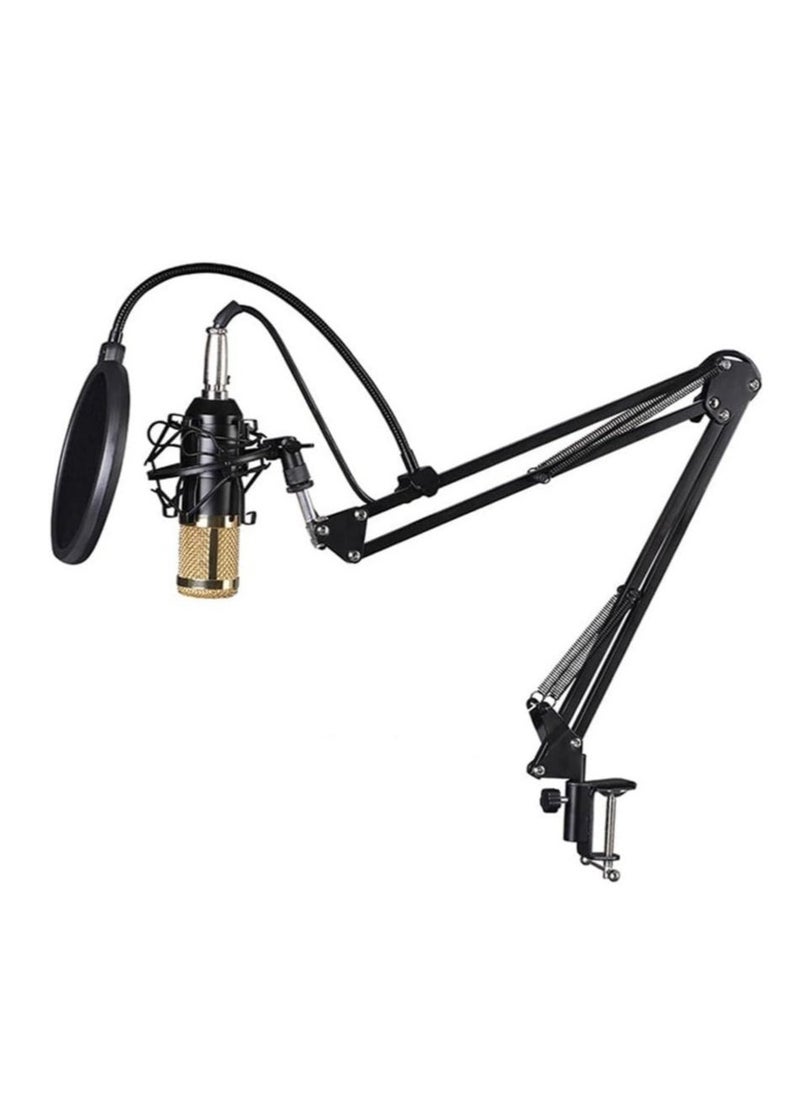 بيوينتي - MIRHA Elite V9 Sound Card u0026 BM800 Pro Microphone Bundle for Advanced Broadcasting - Image 1