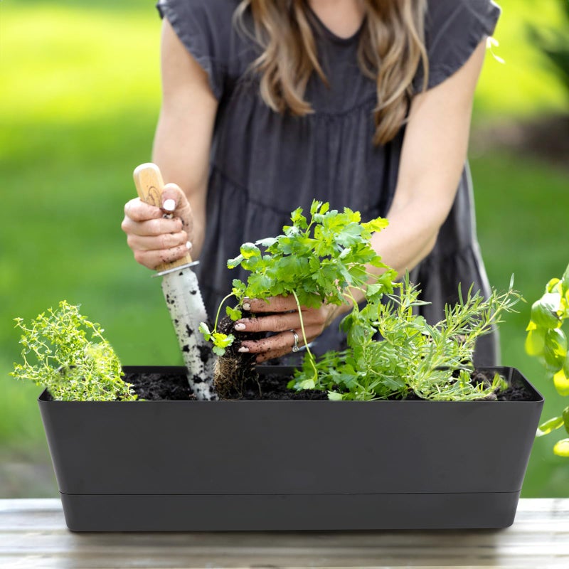 GREANER Window Boxes Planters, 3PCS 16x3.8 Inch Black Rectangle Planters Box with Drainage Holes and Trays, Herb Succulents Flowers Plastic Pot for Windowsill, Garden, Balcony, Indoor, Outdoor Decor - Image 5