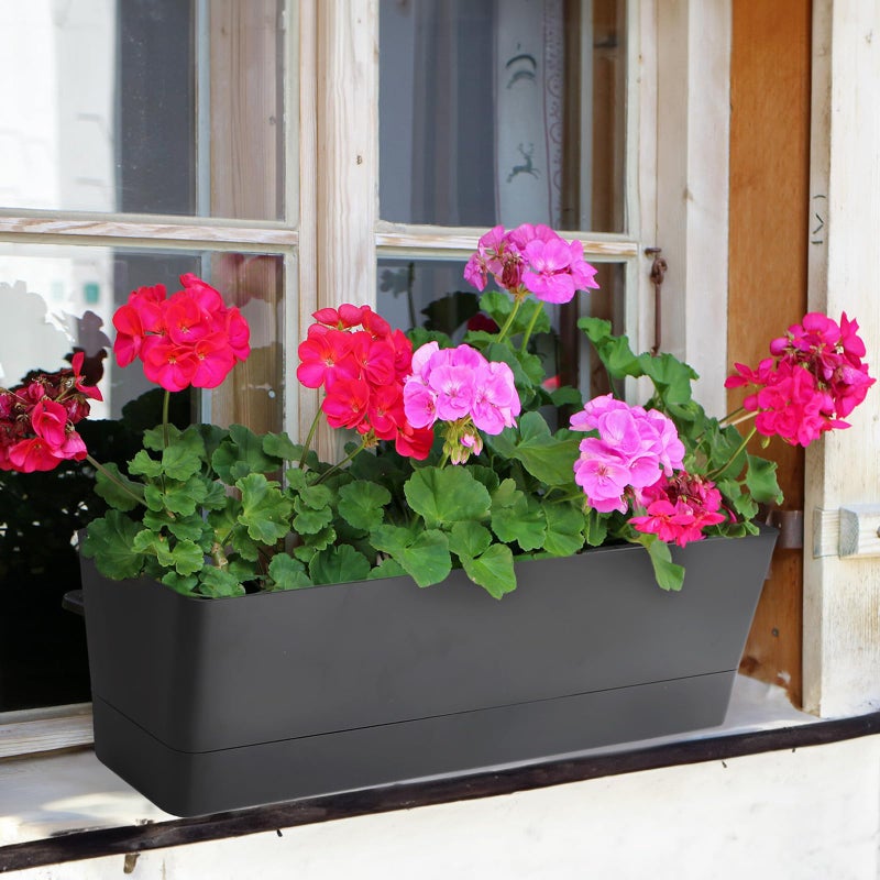 GREANER Window Boxes Planters, 3PCS 16x3.8 Inch Black Rectangle Planters Box with Drainage Holes and Trays, Herb Succulents Flowers Plastic Pot for Windowsill, Garden, Balcony, Indoor, Outdoor Decor - Image 4