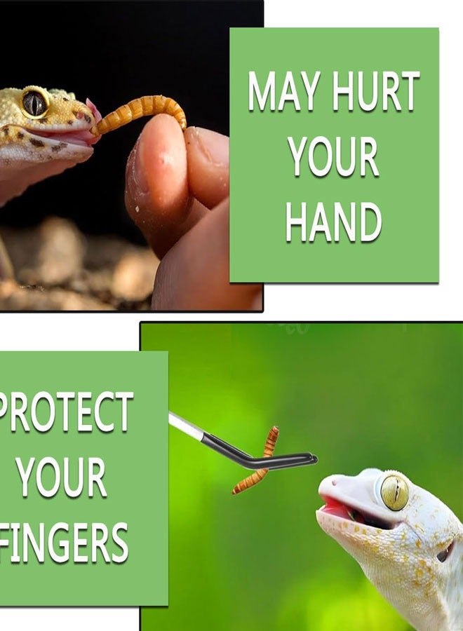 HAWAWA 2 PCS Long Aquarium Tweezers Stainless Steel Reptile Feeding Tongs Tweezers with Rubber Tip, Straight and Curved Long Handle Feeder Tool Terrarium Feeder Supplies (27cm Silver) - Image 5