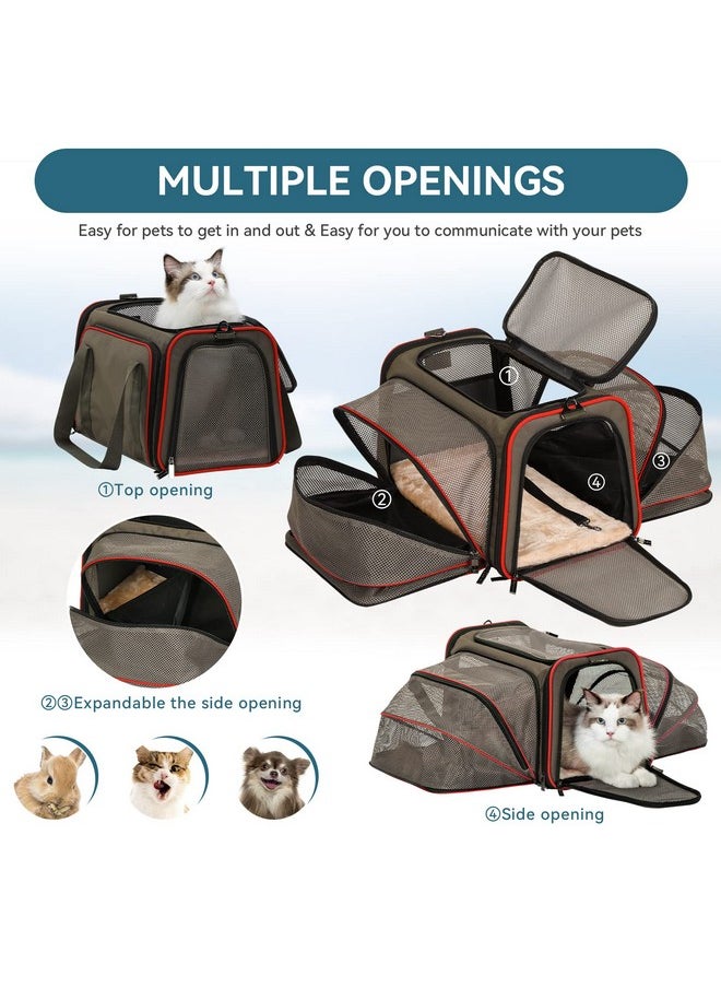 Petsfit Petsfit 2 Side Expandable Pet Carrier Dog Carrier Cat Carrier for 2 Cats, 19" Lx 12" Wx 12" H, with Soft Cushion, Built-in Safety Rope, Pockets, Fit for Car Travel  - Image 3
